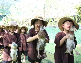 TOUR MẦM NON - TIỂU HỌC - HAPPY FARM – MỘT NGÀY LÀM BẠN VỚI NÔNG TRẠI
