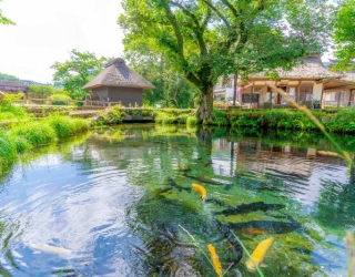 TOUR NHẬT BẢN - OSAKA – KYOTO – NAGOYA – PHÚ SĨ  – TOKYO 6 NGÀY 5 ĐÊM