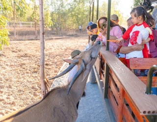 PHAN THIẾT – NOVA WORL - WONDERLAND WATER PARK - SAFARI 2 NGÀY 1 ĐÊM