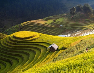 HÀ NỘI - HÀ GIANG - ĐỒNG VĂN - CAO BẰNG - THÁC BẢN GIỐC - ĐỘNG NGƯỜM NGAO - HỒ BA BỂ