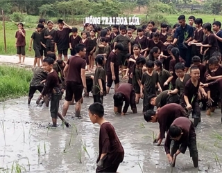 NÔNG TRẠI JOY ( HOA LÚA CỦ CHI )- TOUR TRẢI NGHIỆM 1 NGÀY LÀM NÔNG DÂN