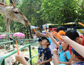 TOUR HỌC SINH 1 NGÀY | THẢO CẦM VIÊN - CÔNG VIÊN NƯỚC ĐẦM SEN | CHƯƠNG TRÌNH NGOẠI KHÓA 1 NGÀY PHÙ HỢP CHO HỌC SINH MẦM NON , HỌC SINH CẤP 1 & 2