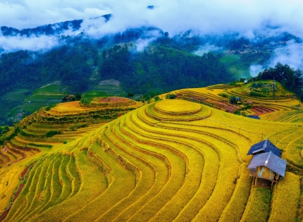 Kinh nghiệm du lịch Sa Pa – Lào Cai mùa lúa chín 