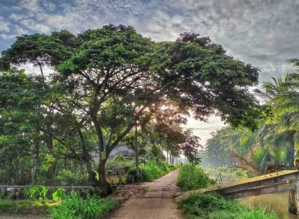 Có gì chơi tại Bến Tre ? Top địa điêm không thể bỏ lỡ