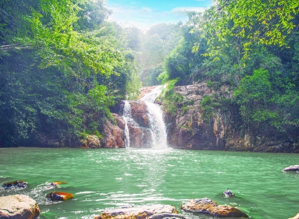 Kinh nghiệm du lịch Đà Lạt tự túc 2026: Ăn gì, chơi gì.