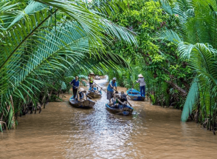 Khám phá Cồn Thới Sơn – Hòn cù lao miệt vườn miền Tây nổi tiếng