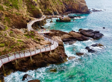 CẨM NANG DU LỊCH QUY NHƠN 2026