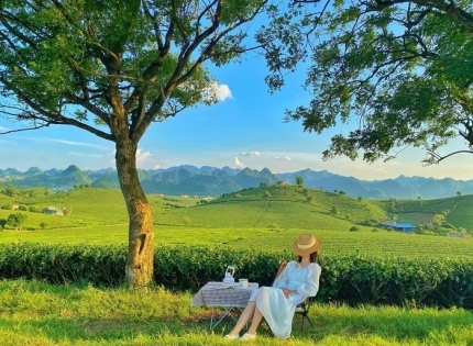 Có gì chơi tại Mộc Châu ? Top 11 địa điểm đẹp không thể bỏ lỡ