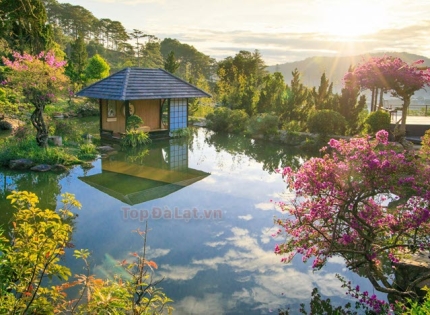 CẨM NANG DU LỊCH ĐÀ LẠT TỪ A đến Z 