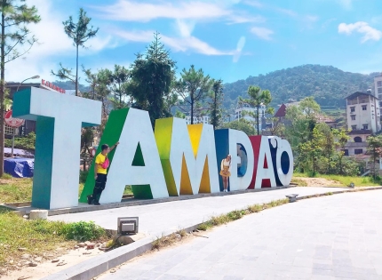 Có gì chơi tại Tam Đảo ? Top địa điểm không thể bỏ lỡ