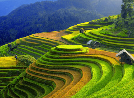 Có gì chơi tại Yên Bái ? Top địa điểm đẹp không thể bỏ lỡ