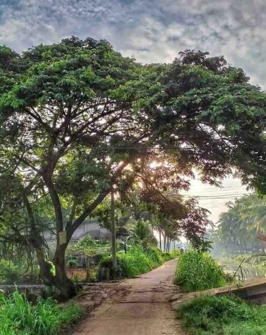 Có gì chơi tại Bến Tre ? Top địa điêm không thể bỏ lỡ