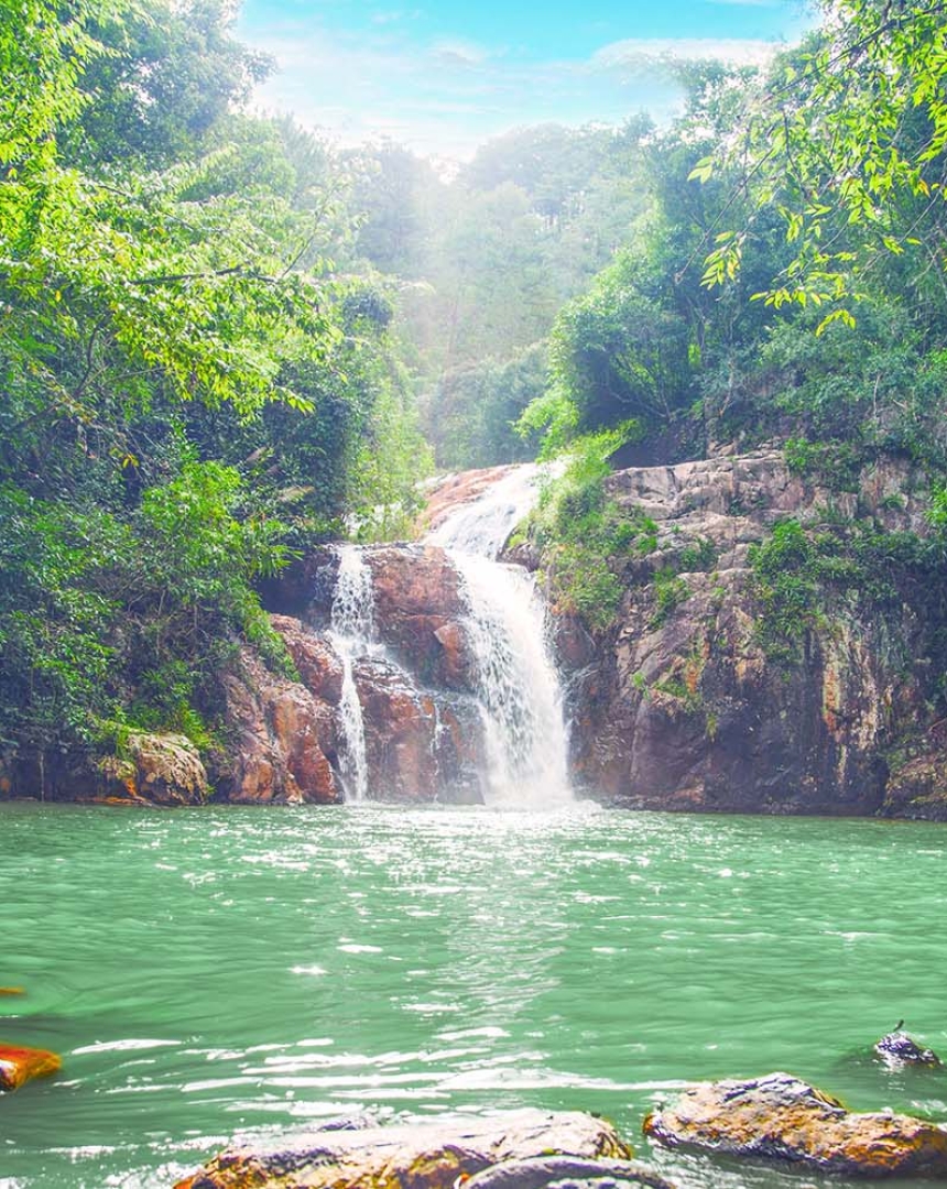 Kinh nghiệm du lịch Đà Lạt tự túc 2026: Ăn gì, chơi gì.