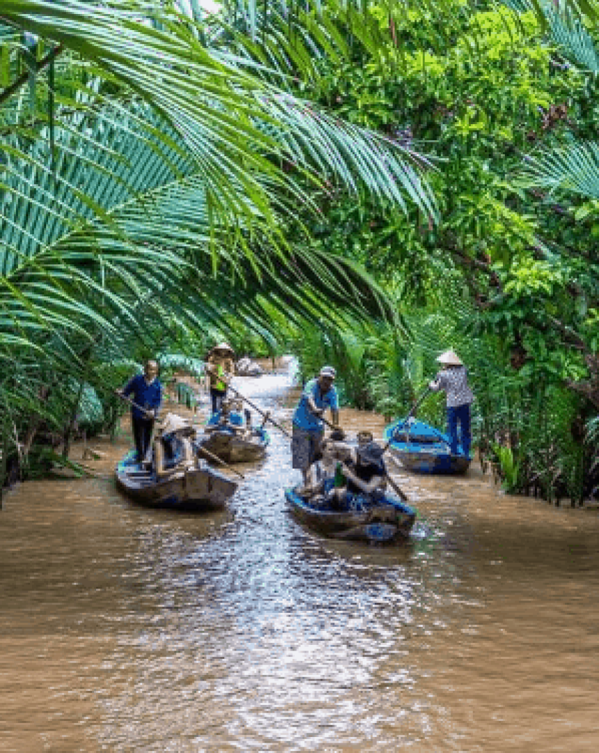 Khám phá Cồn Thới Sơn – Hòn cù lao miệt vườn miền Tây nổi tiếng
