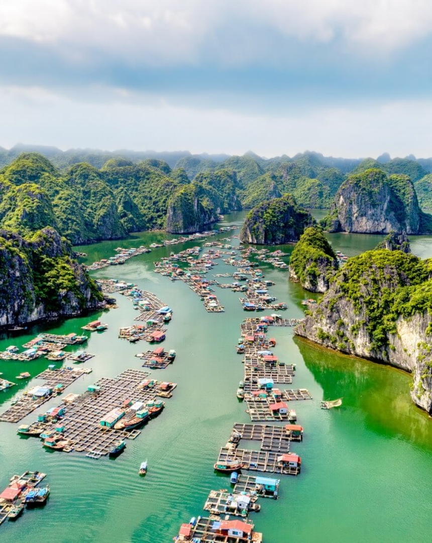 CẨM NANG DU LỊCH HẢI PHÒNG 2026