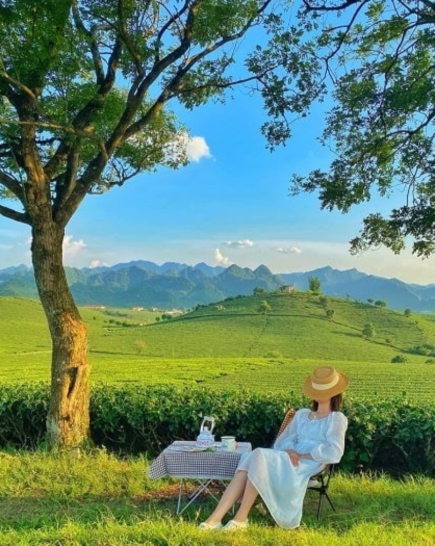 Có gì chơi tại Mộc Châu ? Top 11 địa điểm đẹp không thể bỏ lỡ