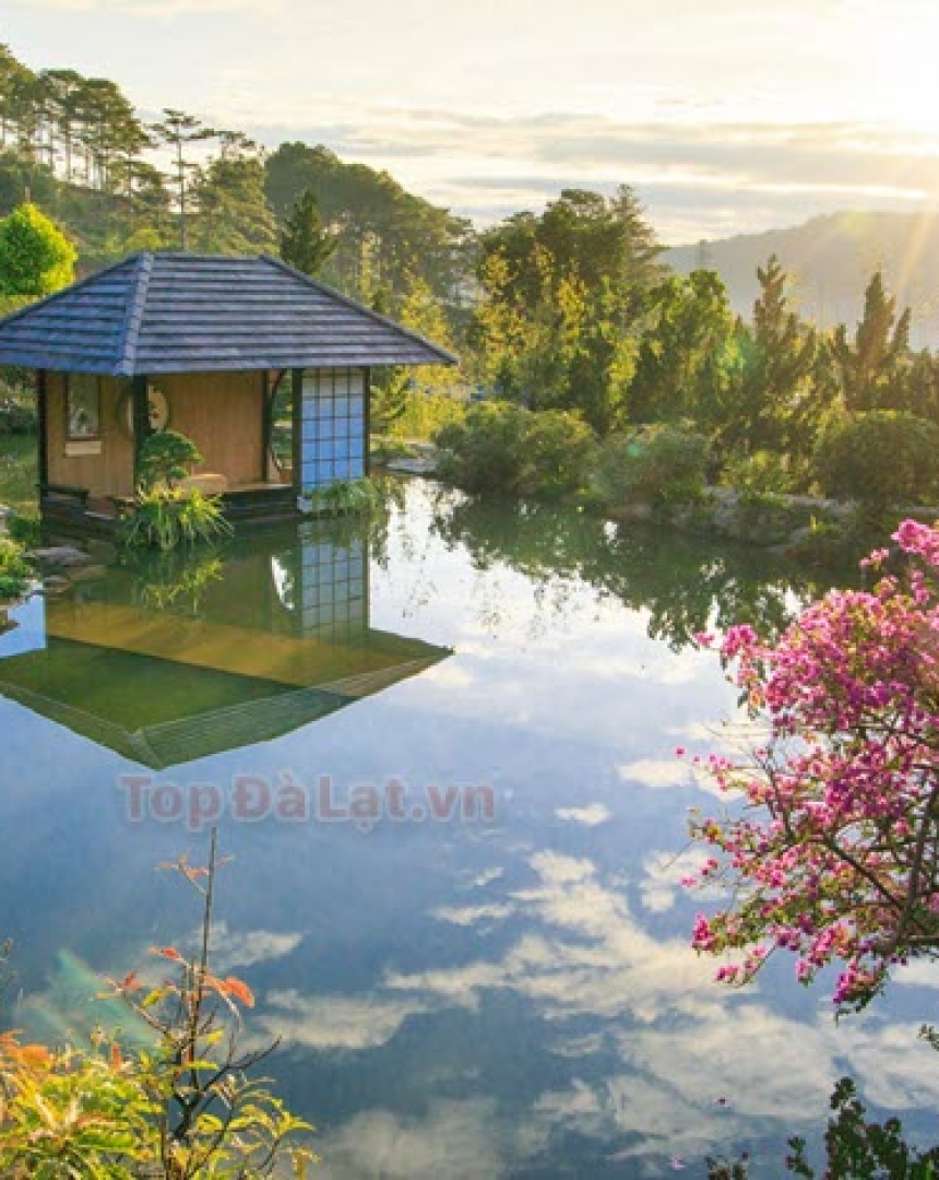 CẨM NANG DU LỊCH ĐÀ LẠT TỪ A đến Z 