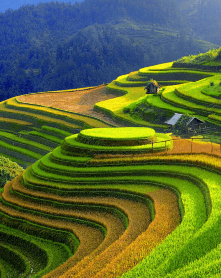 Có gì chơi tại Yên Bái ? Top địa điểm đẹp không thể bỏ lỡ