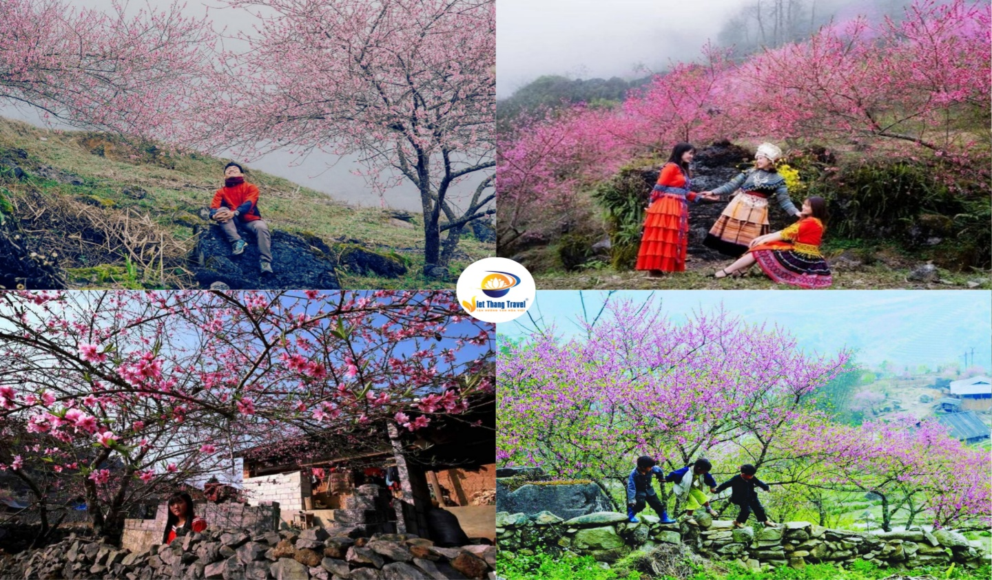 Mùa xuân Hà Giang